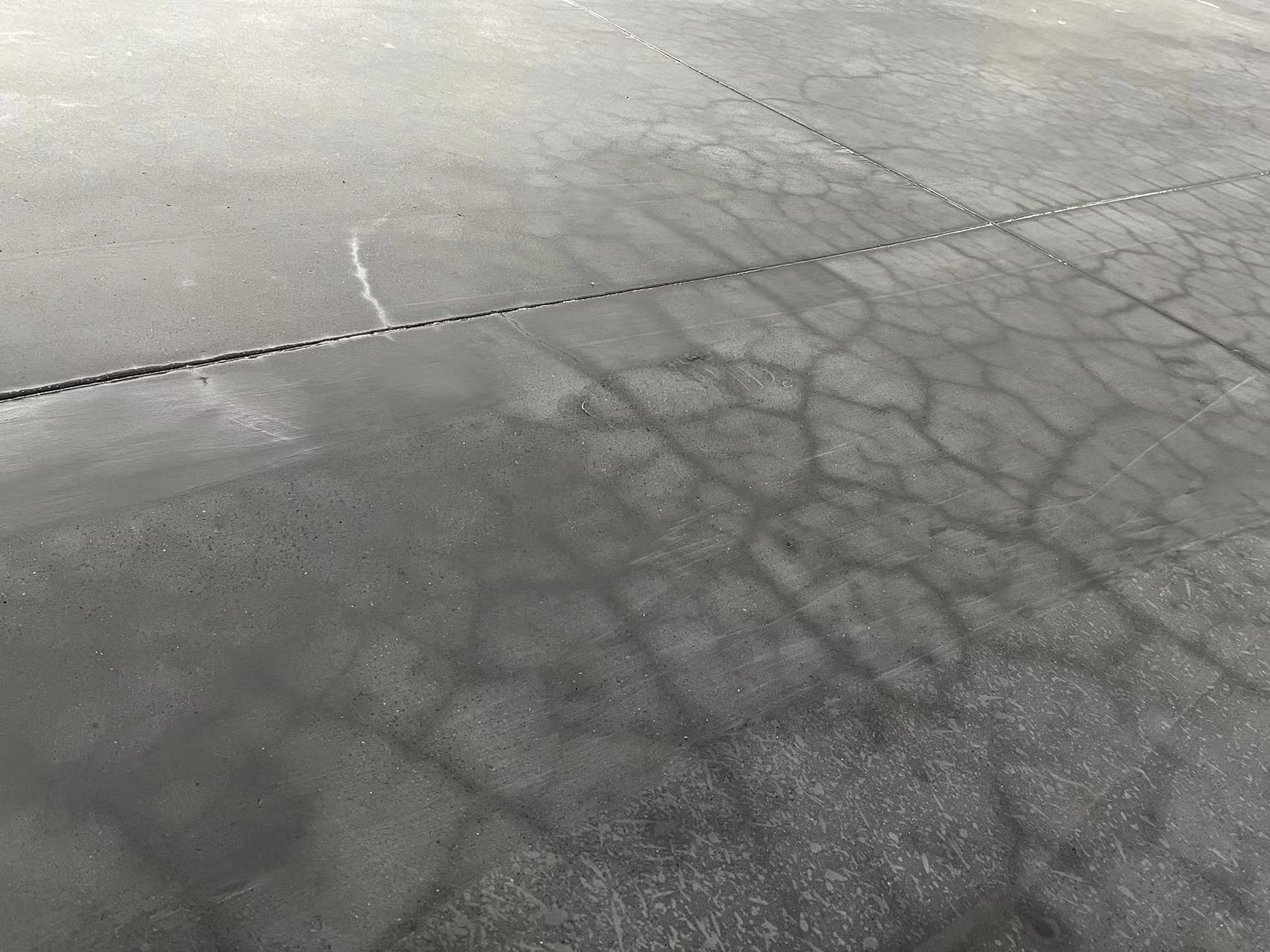 微信图片_20240307153117.jpg